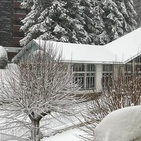 Nid Douillet Avec Balcon Et Vue Montagne Mt Dore *