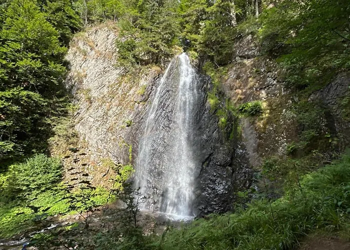 Nid Douillet Avec Balcon Et Vue Montagne Mt Dore Apartamento *